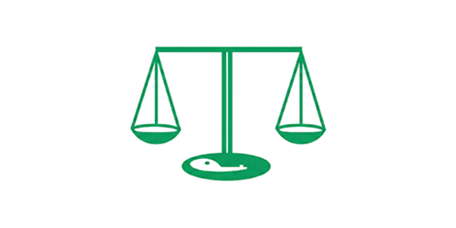 Green logo pneg@3x@3x