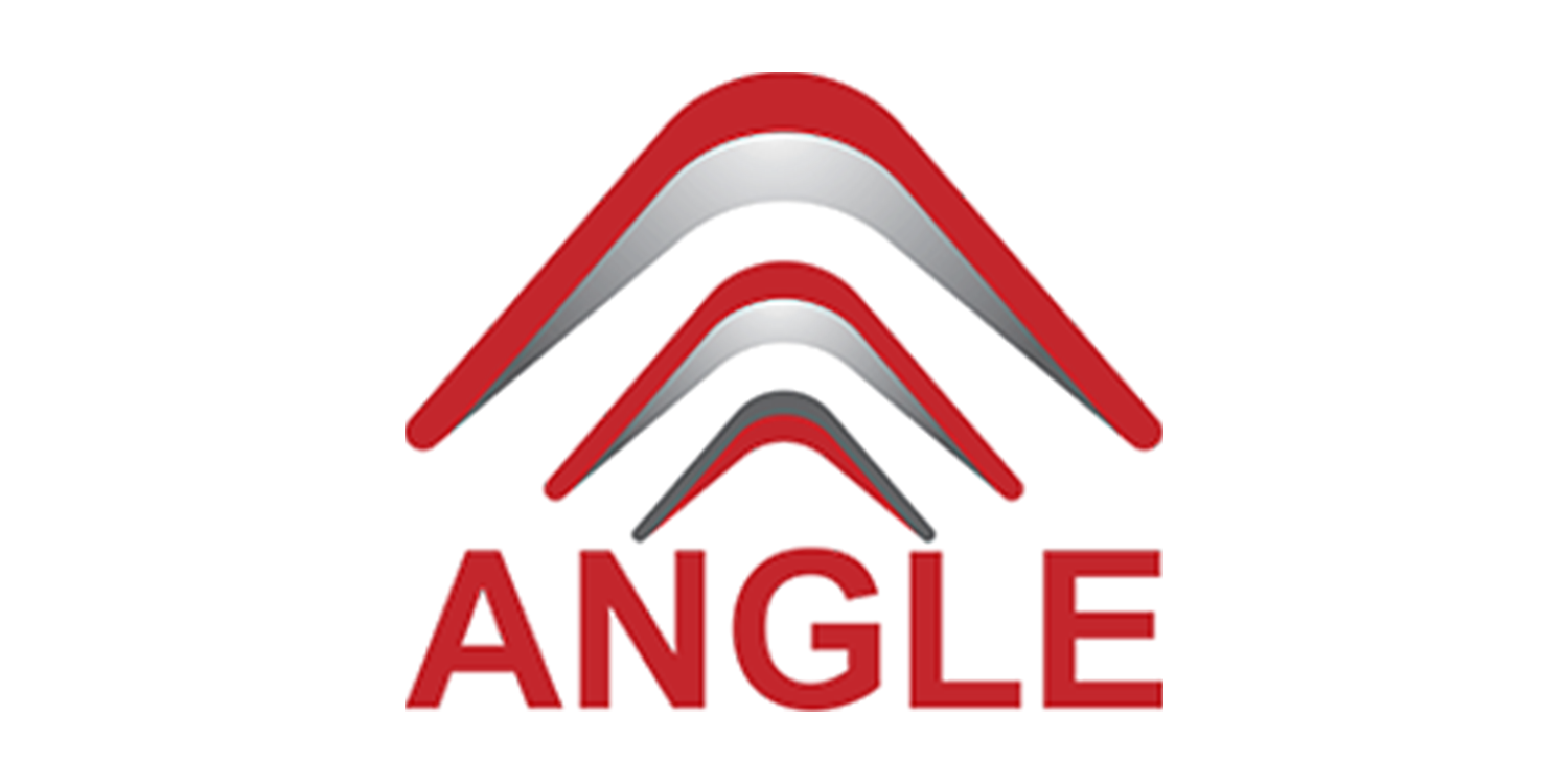 angle logo pneg@3x